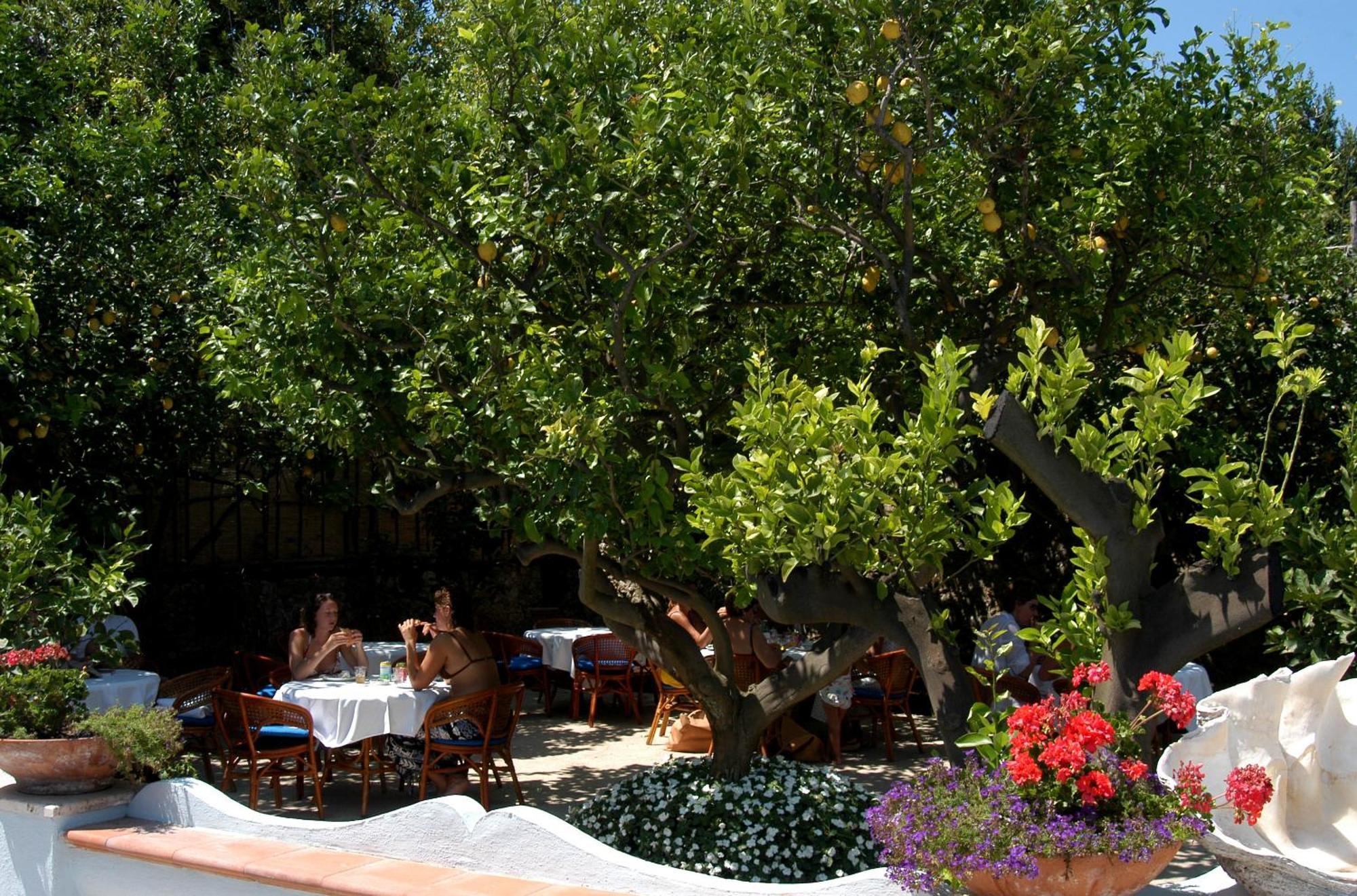 קאפרי Hotel San Felice מראה חיצוני תמונה
