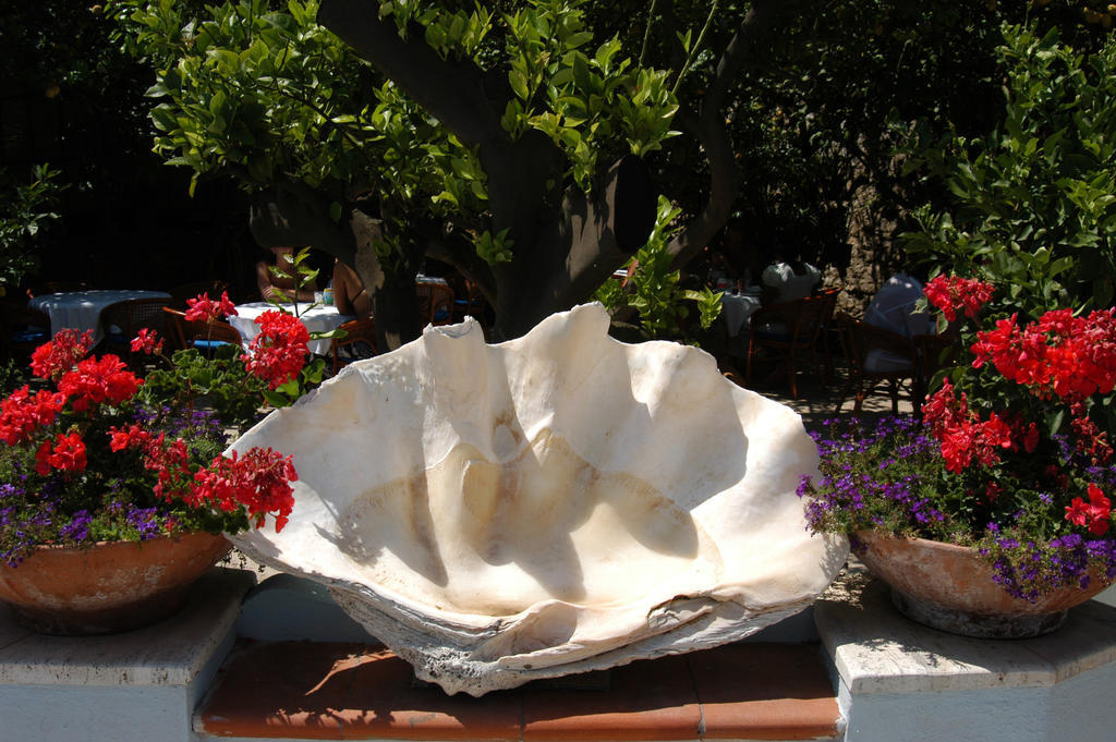 קאפרי Hotel San Felice מראה חיצוני תמונה